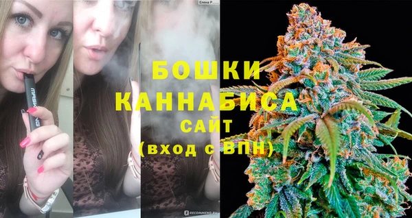 хмурый Вяземский