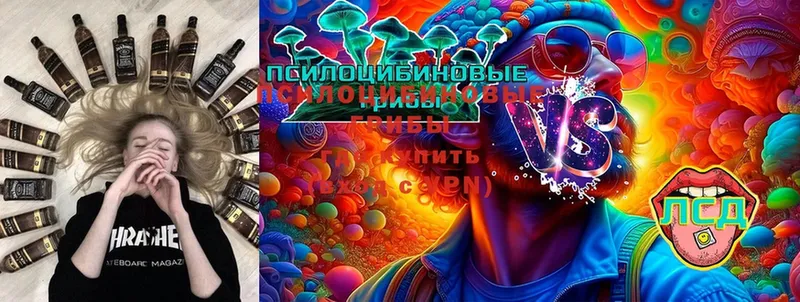 Галлюциногенные грибы MAGIC MUSHROOMS  мега ссылки  Новозыбков 