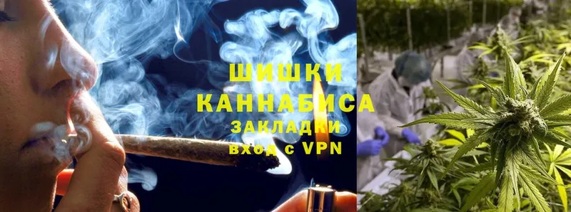 Шишки марихуана OG Kush  Новозыбков 